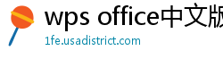 wps office中文版